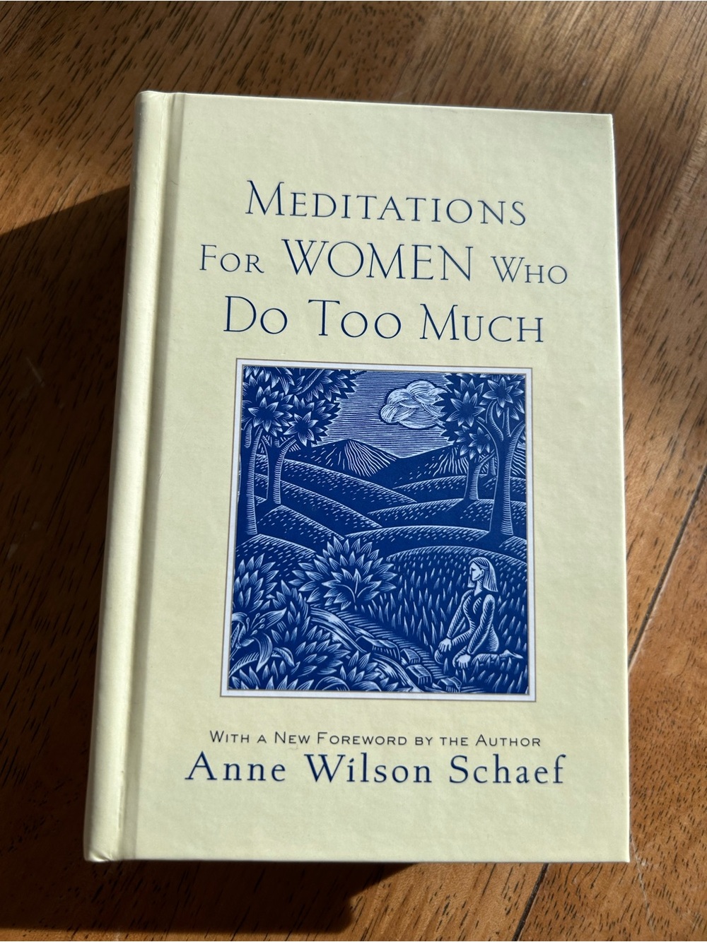Meditations for women who do too much -hardcover